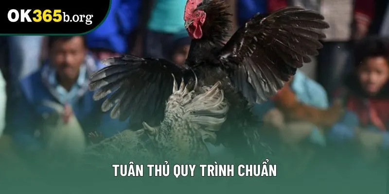 Tuân thủ quy trình chuẩn