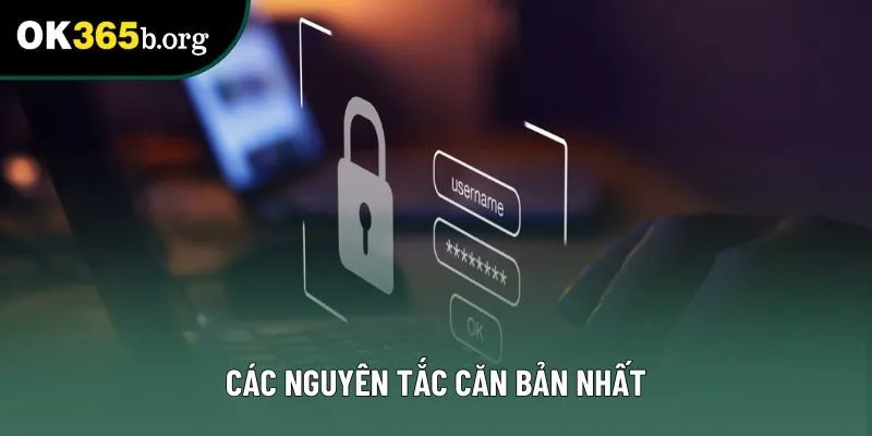 Các nguyên tắc căn bản nhất