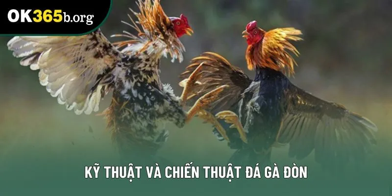Kỹ thuật và chiến thuật đá gà đòn