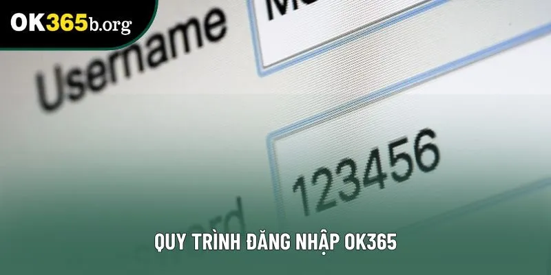 Quy trình đăng nhập OK365