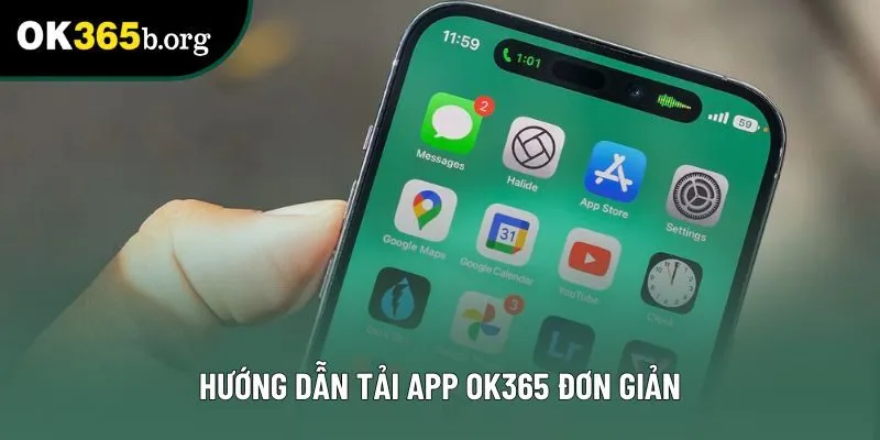 Hướng dẫn tải app OK365 đơn giản
