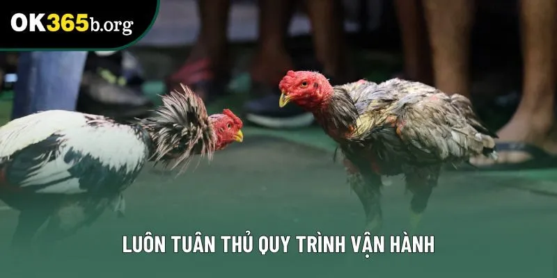 Luôn tuân thủ quy trình vận hành